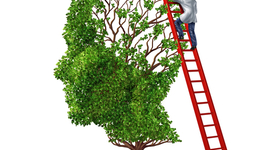 Timeline: Ecología Humana