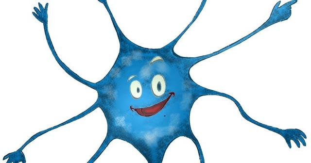 Dé donde viene y para donde va el cerebro? timeline | Timetoast timelines