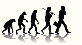 Timeline: Origen y evolución de la administración