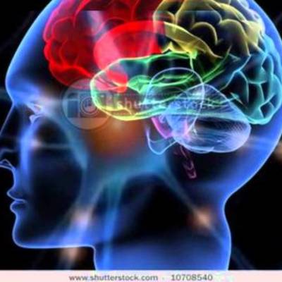 Timeline: historia de la neurociencia