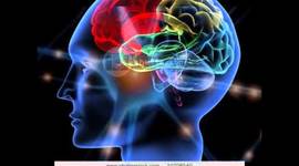 Timeline: historia de la neurociencia