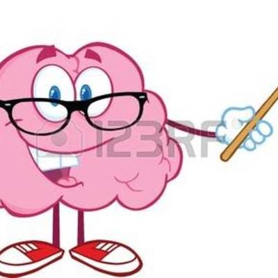 Timeline: ¿Dé donde viene y para donde va el cerebro?