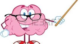 Timeline: ¿Dé donde viene y para donde va el cerebro?