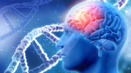 Timeline: NEUROCIENCIA EN EL TIEMPO