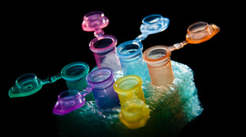 Timeline: Historia Bio Molecular