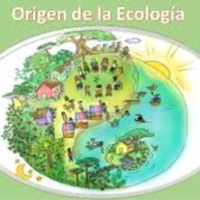 Timeline: Antecedentes de la ecología