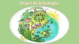 Timeline: Antecedentes de la ecología