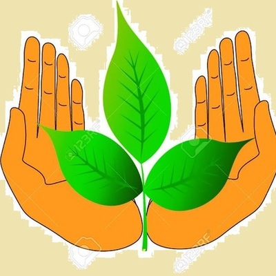 Timeline: منظمات خضراء