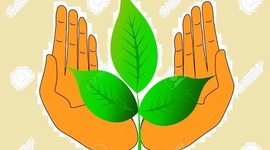 Timeline: منظمات خضراء