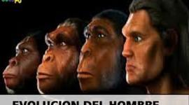 Timeline: Evolución del hombre "Sugeidy Rodriguez"