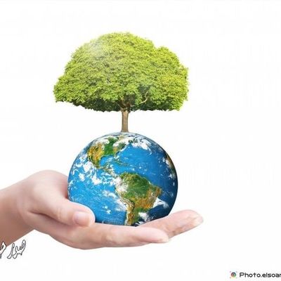 Timeline: المنظومات الخضراء