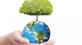 Timeline: المنظومات الخضراء