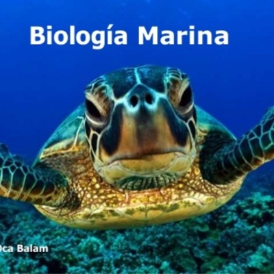 Timeline: Historia de la biología marina