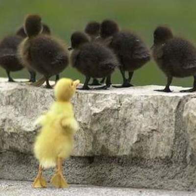 Timeline: TEORIAS PEDAGOGICAS Y EL APRENDIZAJE SIGNIFICATIVO