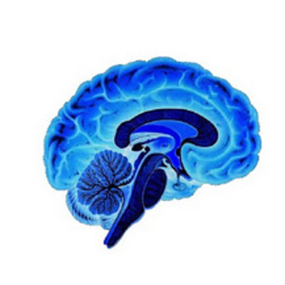 Timeline: LA NEUROCENCIA DE LA CONDUCTA