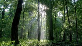 Timeline: Περιβαλλοντική Εκπαίδευση στο 53ο Γενικό Λύκειο Αθηνών