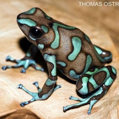 Timeline: Historia de la Unión Europea