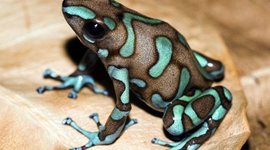 Timeline: Historia de la Unión Europea