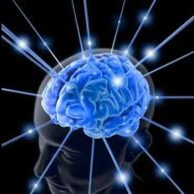 Timeline: Evolución Histórica de las Neurociencias