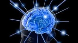 Timeline: Evolución Histórica de las Neurociencias