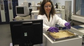 Timeline: Zita Martins - Participation in space missions