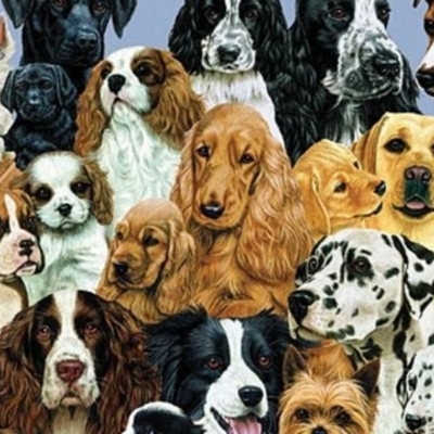 Timeline: Породы собак