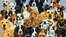 Timeline: Породы собак