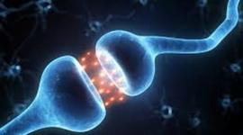 Timeline: EL GRANDIOSO MUNDO DE LA CÉLULA