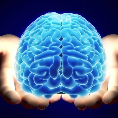 Timeline: Neurociencias de la conducta