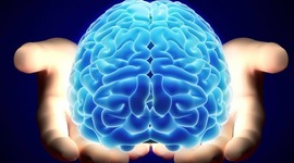 Timeline: Neurociencias de la conducta