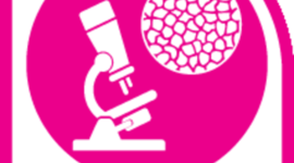 Timeline: HISTORIA DE LA ANATOMÍA PATOLÓGICA