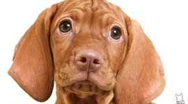 Timeline: Személyem