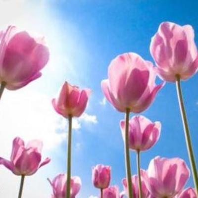 Timeline: Személyem