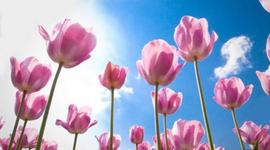 Timeline: Személyem