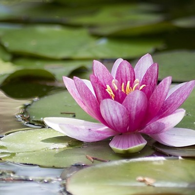 Timeline: Személyem