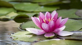 Timeline: Személyem