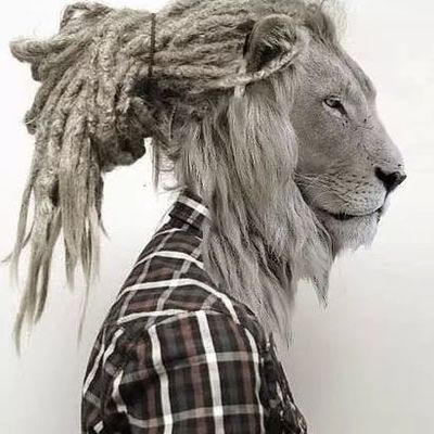 Timeline: EVOLUCIÓN DE LA COMUNICACIÓN