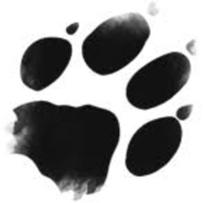 Timeline: Személyem