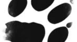 Timeline: Személyem