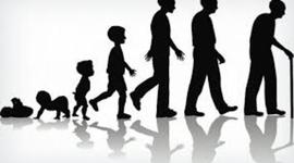 Timeline: mi proyecto de vida