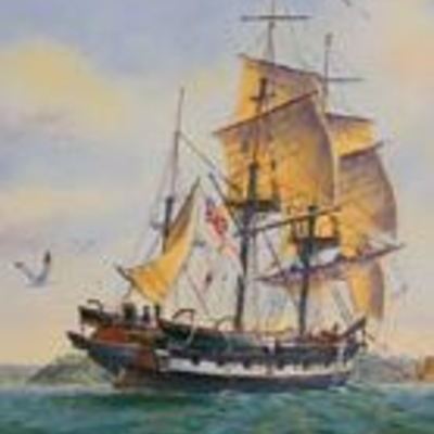 Timeline: Beagles Voyage TimeLine