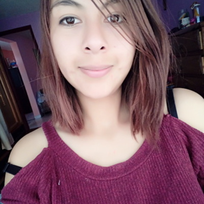 Timeline: Bibliografía