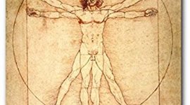 Timeline: Relación de Ergonomía y Diseño industrial.