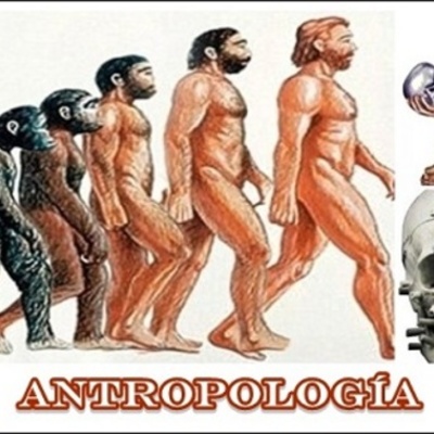 Timeline: LA ANTROPOLOGÍA