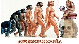 Timeline: LA ANTROPOLOGÍA