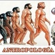 Antropologia