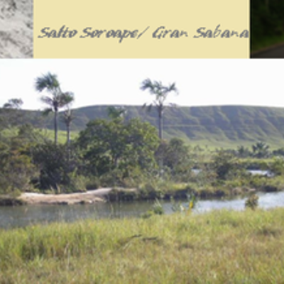 Timeline: mi biografía