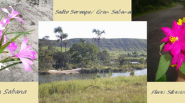 Timeline: mi biografía