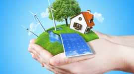 Timeline: Ecology history