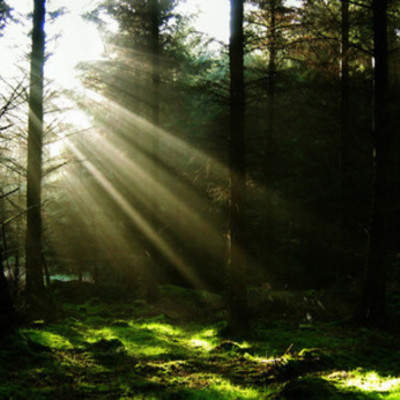 Timeline: A.P.U.S.H. 1918-2018